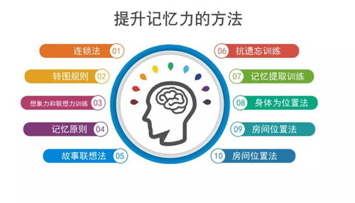 最全大腦活動法 預(yù)防癡呆、延緩衰老的實用秘籍